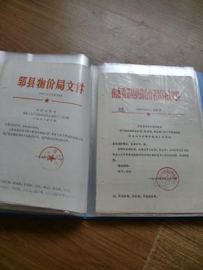 新奥精准精选免费资料提供与公证释义、解释及落实,新奥精准精选免费资料提供,公证释义、解释与落实